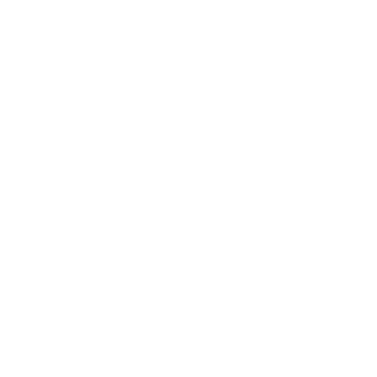 alt AV LTD